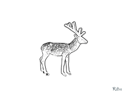 reindeer Coloring Pages To Print